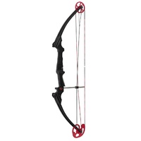 Mathews Genesis Original Bow
