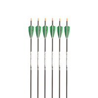 Fleetwood Legion Feather Fletched Arrows 6PK