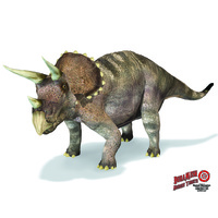DuraMesh Dino Target Face