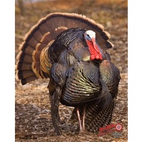DuraMesh Turkey Target Face