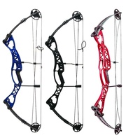 Ambidextrous Compound Bow