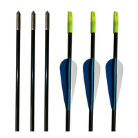 Durable Fiberglass Arrow 3PK