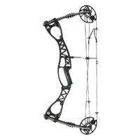Ambidextrous Parallel Limb Compound Bow