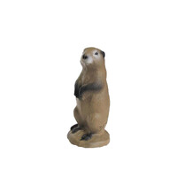 Prairy Dog 3D Target 