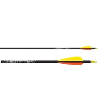 Easton Gamegetter XX75 Arrows