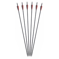 Toparchery Carbon Composite Arrow 6pk