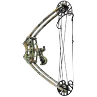 Compact Triangle Compound Bow