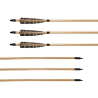 Wood Arrows with Plastic Nocks 3Pk