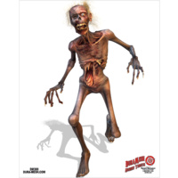 DuraMesh Zombie Target Face