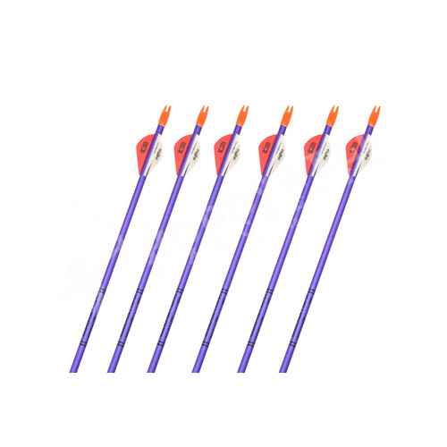 Easton Jazz Arrows with Feathers 6PK  [Size: 1616]
