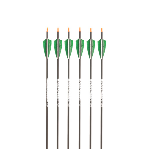Fleetwood Legion Feather Fletched Arrows 6PK [Spine: 400]