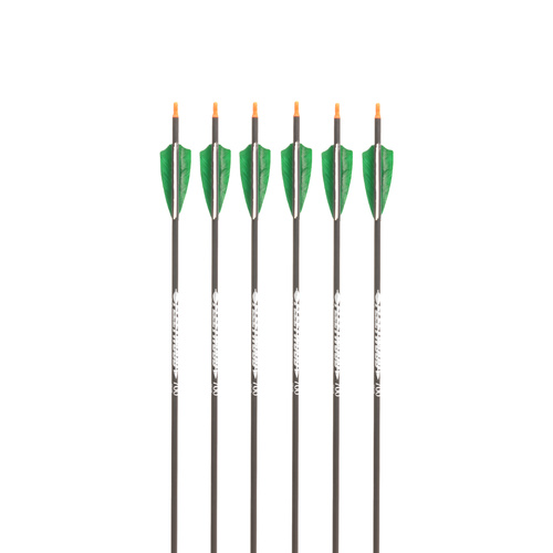 Fleetwood Feather Fletched Arrows 6PK [Spine: 350]