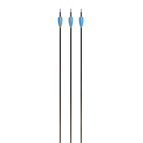 Striker Target Arrows 6PK [Colour: Blue]