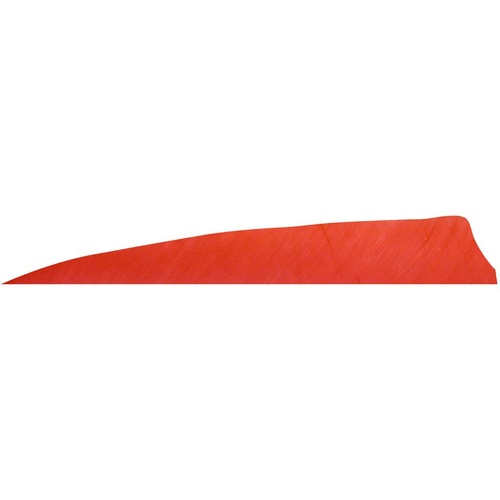 Shield Cut 4in Feathers 12PK [Colour: Red]