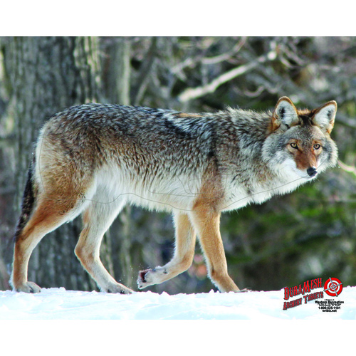DuraMesh Coyote Target Face