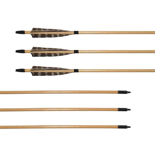 Wood Arrows with Plastic Nocks 3Pk