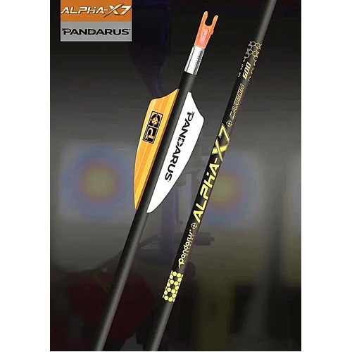 Pandarus Alpha XT Target Carbon Arrows