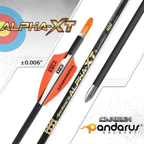 Pandarus Alpha XT Target Carbon Arrows[Spine 500]